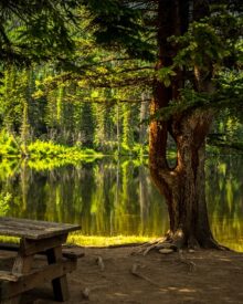 I 10 Parchi Naturali Più Belli d’Italia: Un Viaggio tra Biodiversità e Paesaggi Mozzafiato