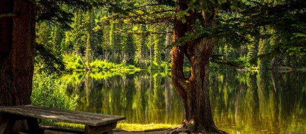I 10 Parchi Naturali Più Belli d’Italia: Un Viaggio tra Biodiversità e Paesaggi Mozzafiato