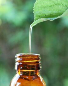 Come riconoscere le piante medicinali: Guida completa per principianti ed esperti