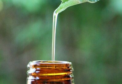 Come riconoscere le piante medicinali: Guida completa per principianti ed esperti